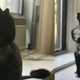 Image for article titled My Pussy Is Hideous